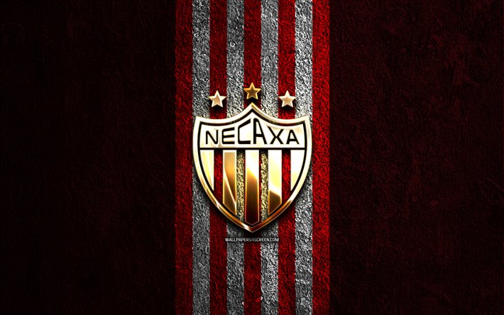 Logo of Necaxa